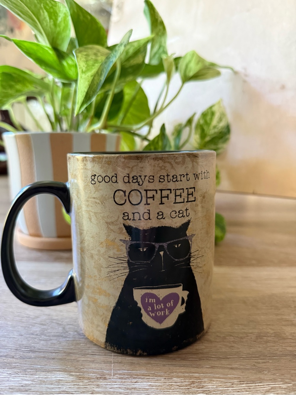 Good Days Start With Coffee and a Cat Mug - Black/Beige